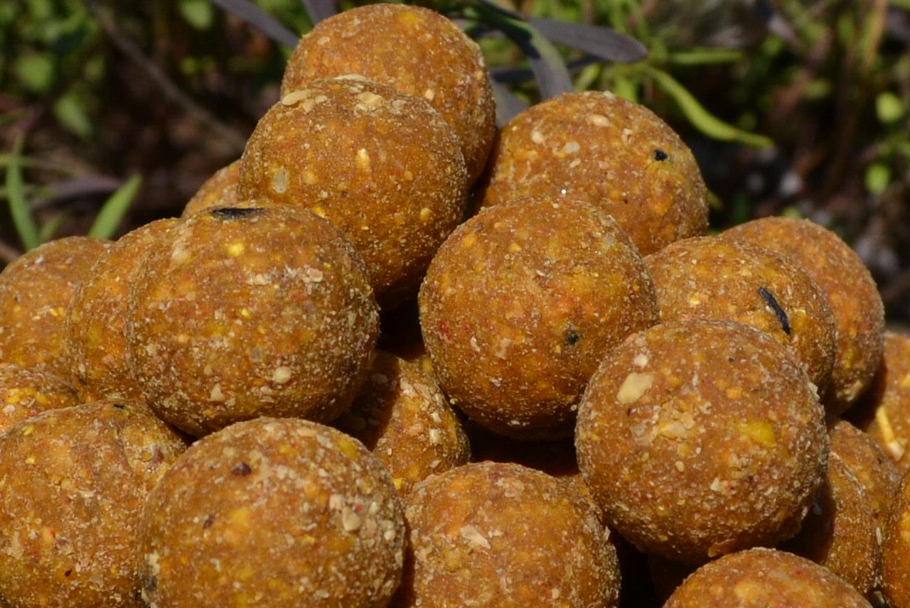 Cips Baits 2015 - csc1694.JPG